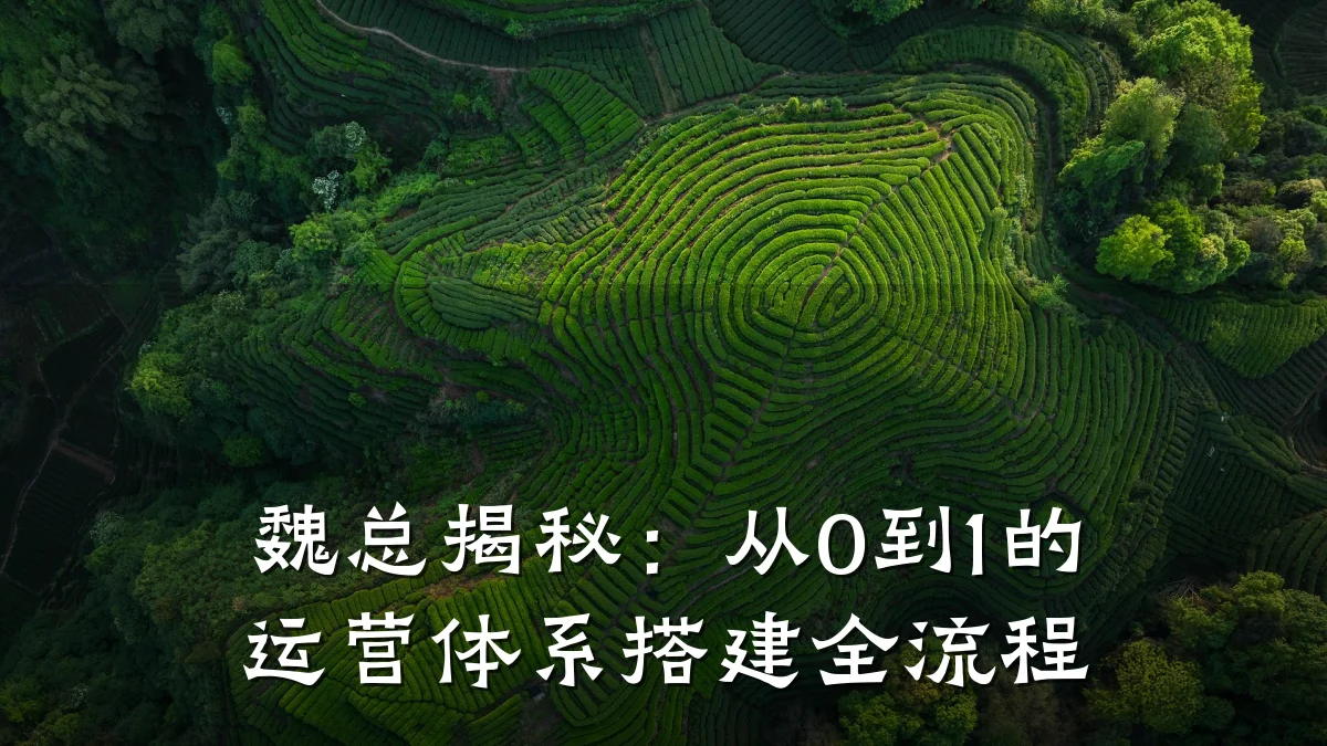 魏总揭秘:从0到1的运营体系搭建全流程
