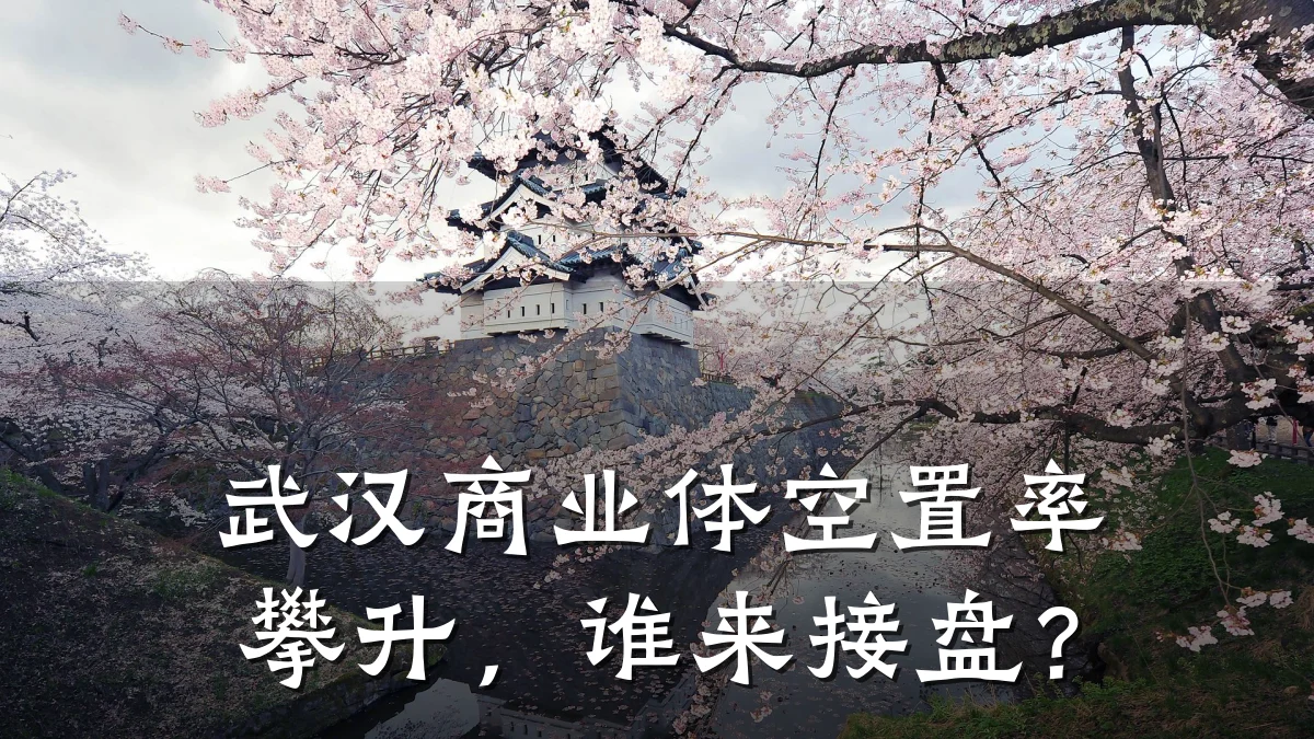 武汉商业体空置率攀升,谁来接盘?