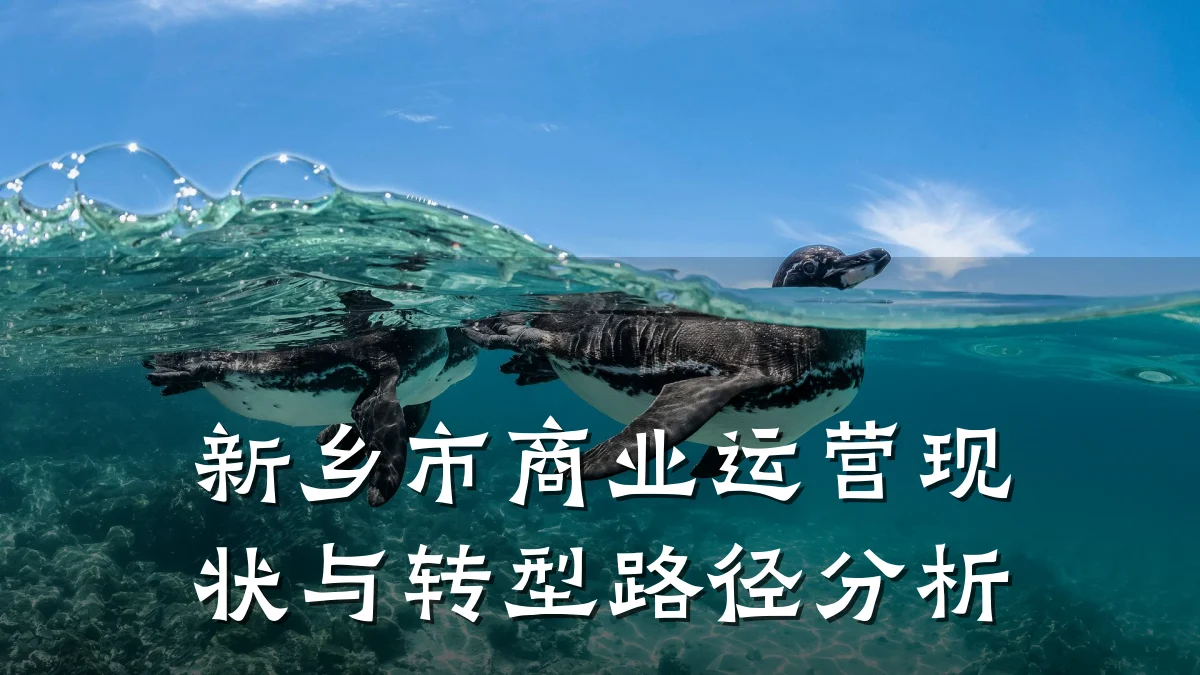 新乡市商业运营现状与转型路径分析