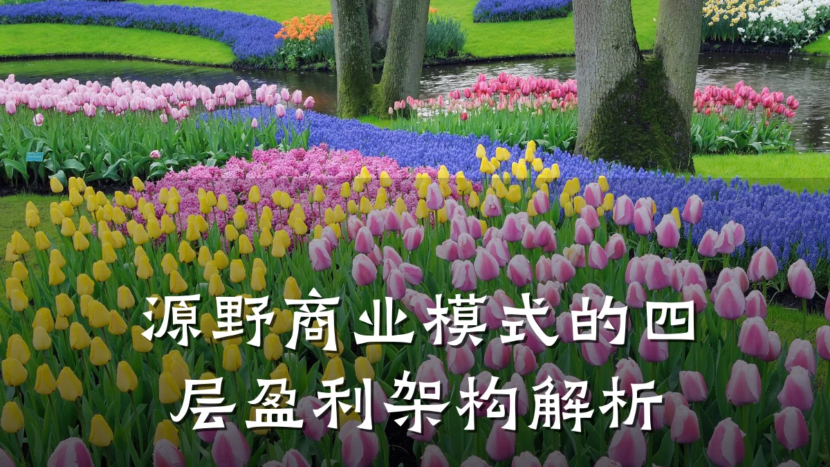 源野商业模式的四层盈利架构解析