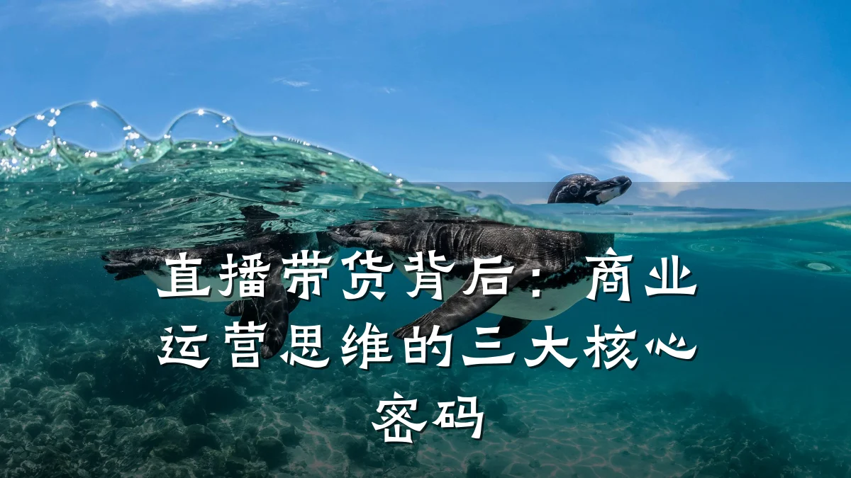 直播带货背后:商业运营思维的三大核心密码