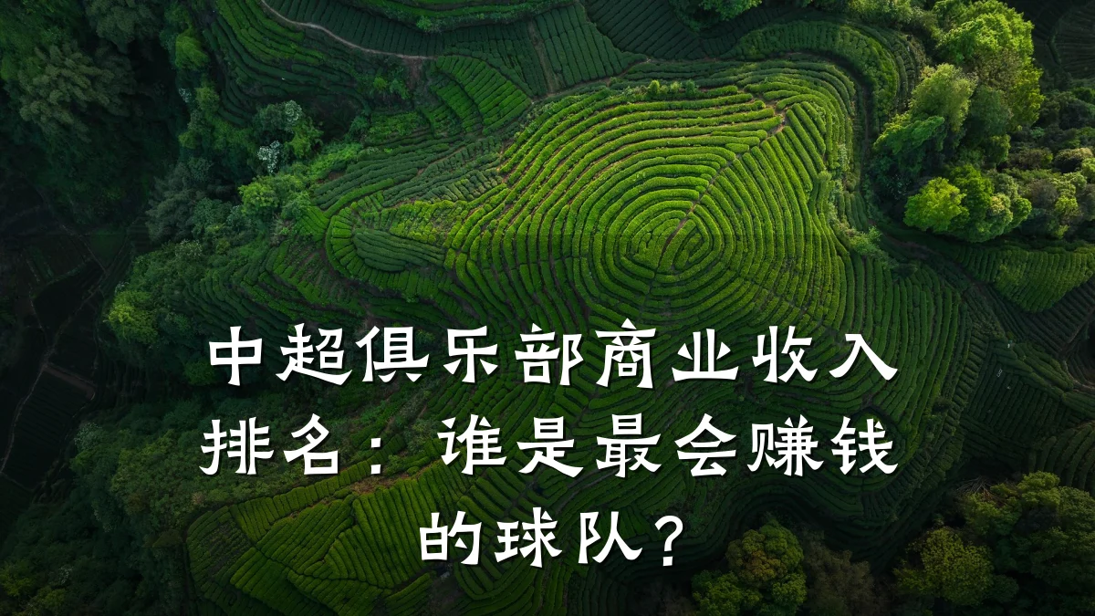 中超俱乐部商业收入排名:谁是最会赚钱的球队?