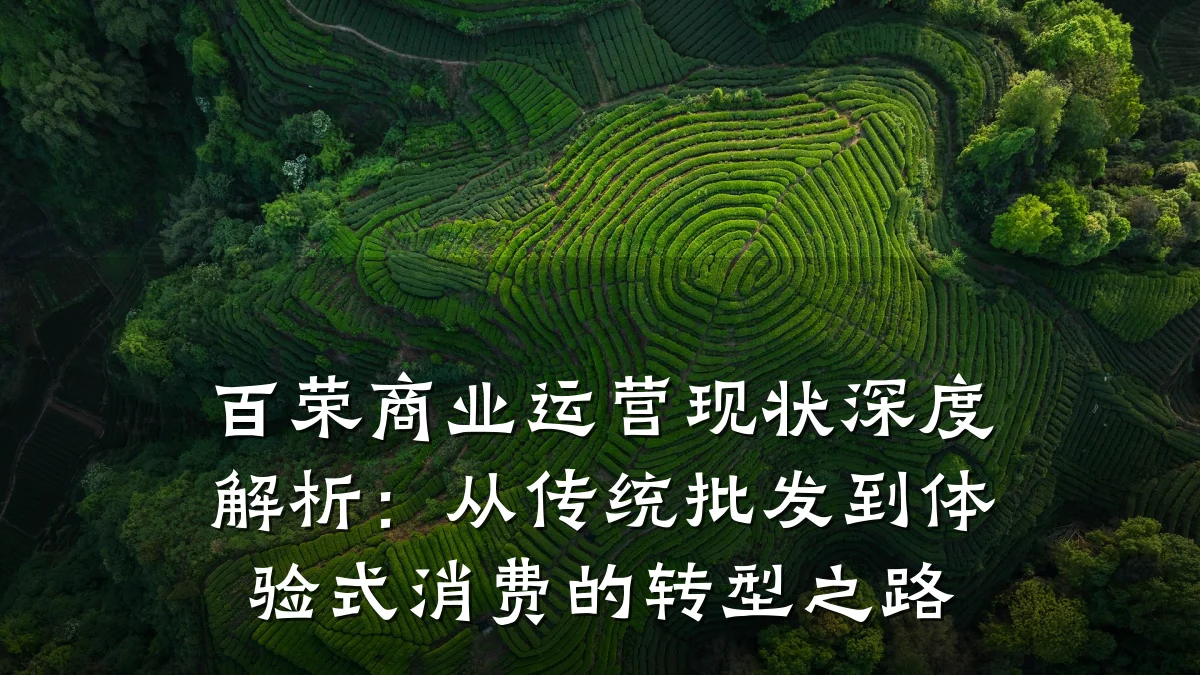 百荣商业运营现状深度解析:从传统批发到体验式消费的转型之路