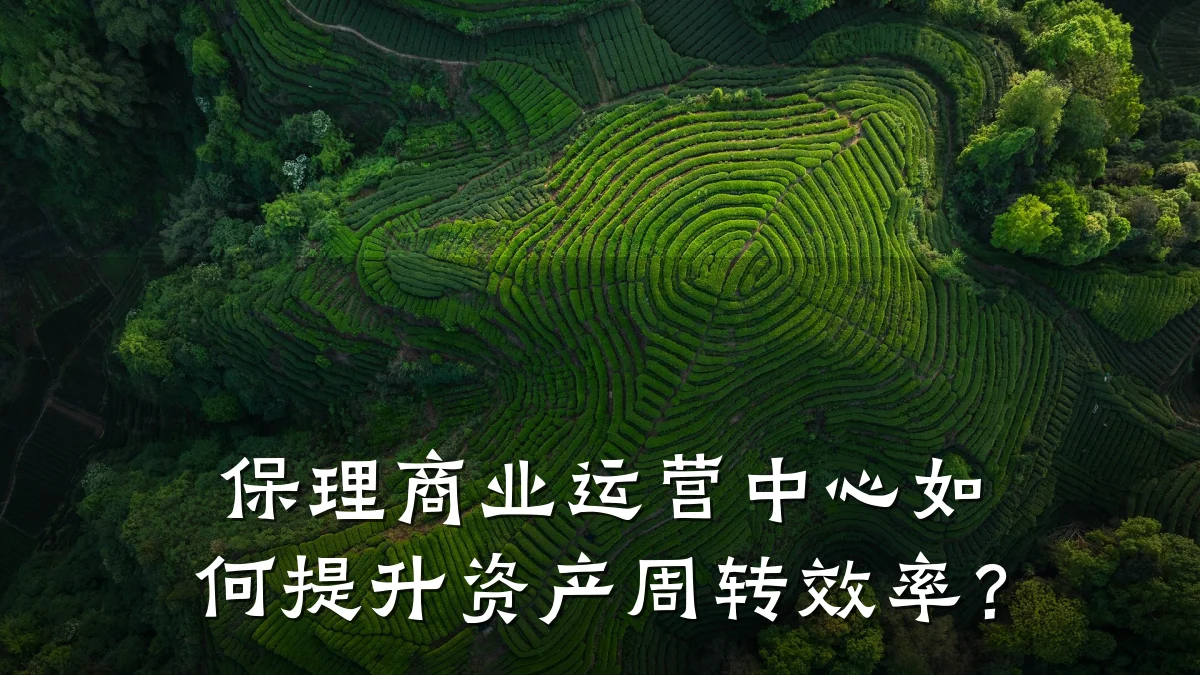 保理商业运营中心如何提升资产周转效率?