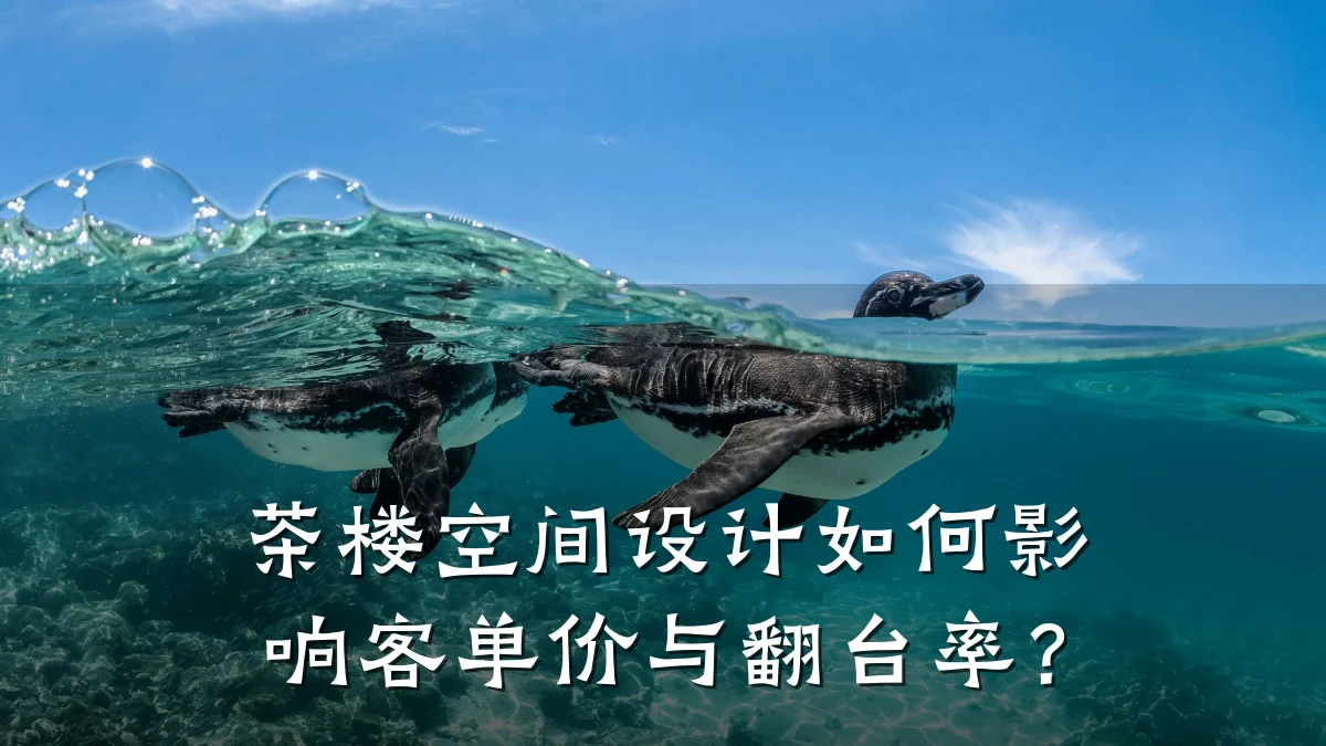 茶楼空间设计如何影响客单价与翻台率?