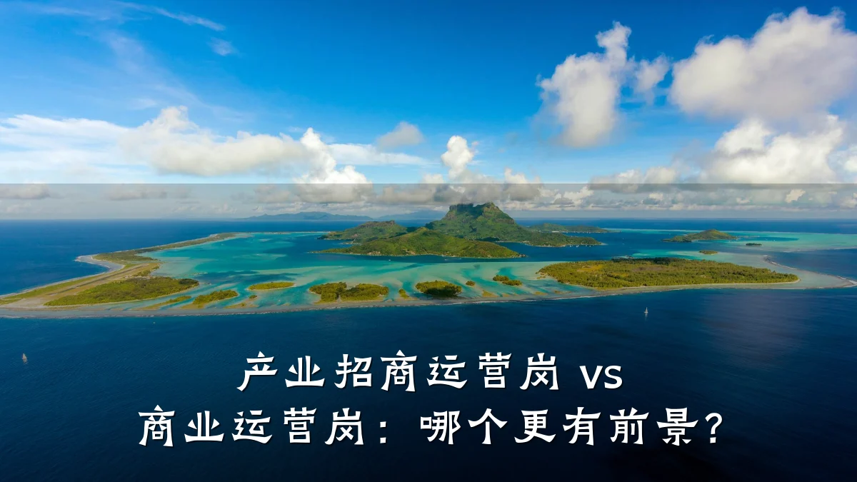 产业招商运营岗 vs 商业运营岗:哪个更有前景?