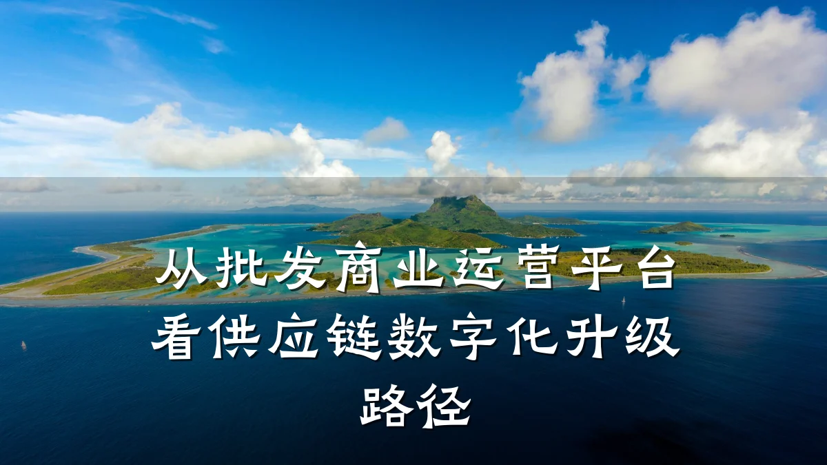 从批发商业运营平台看供应链数字化升级路径