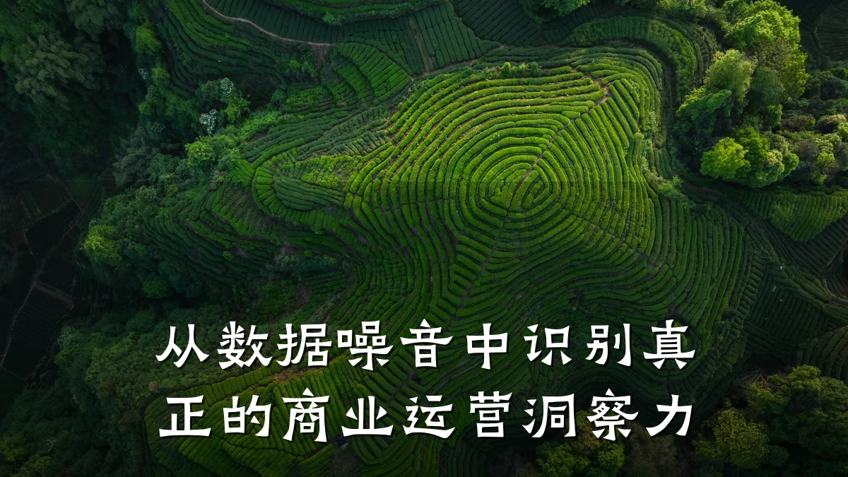从数据噪音中识别真正的商业运营洞察力