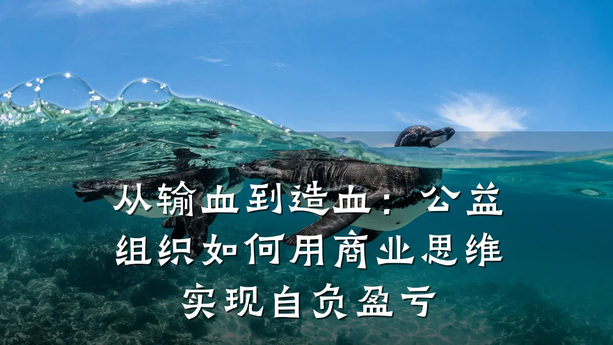 从输血到造血:公益组织如何用商业思维实现自负盈亏