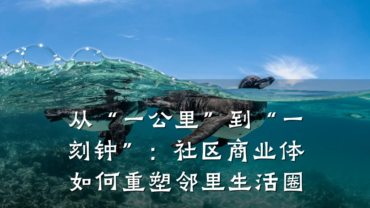 从“一公里”到“一刻钟”:社区商业体如何重塑邻里生活圈