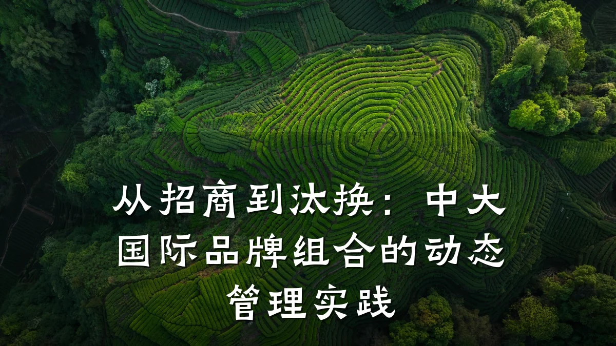从招商到汰换:中大国际品牌组合的动态管理实践