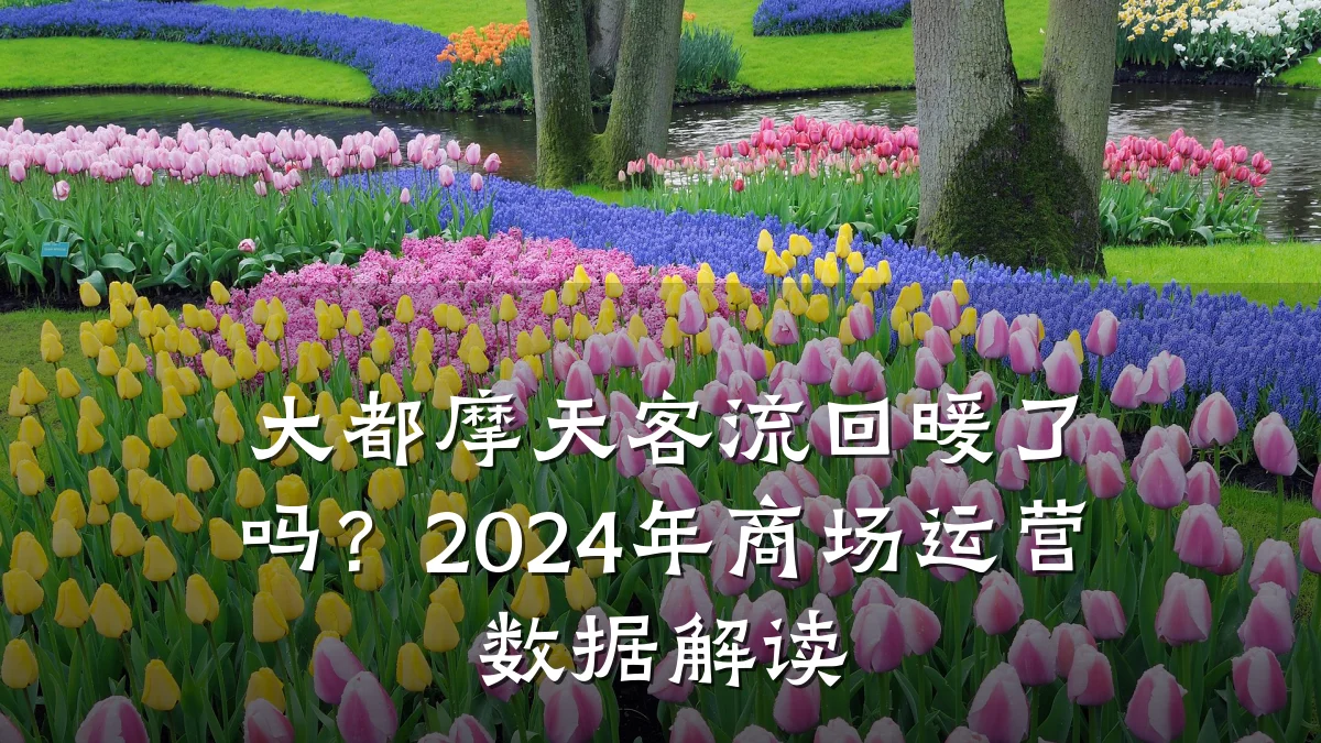 大都摩天客流回暖了吗?2024年商场运营数据解读