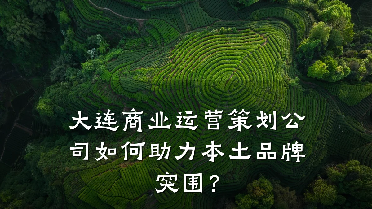 大连商业运营策划公司如何助力本土品牌突围?