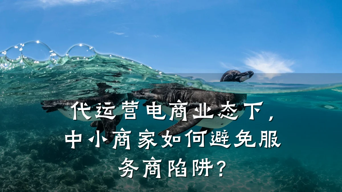 代运营电商业态下,中小商家如何避免服务商陷阱?