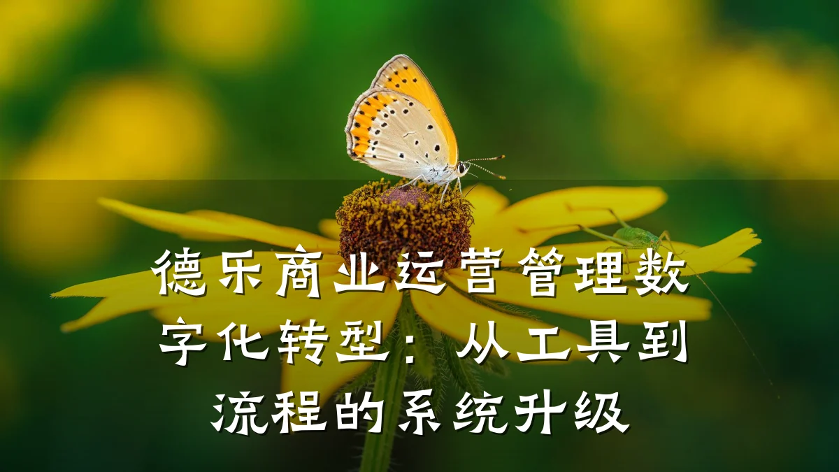 德乐商业运营管理数字化转型:从工具到流程的系统升级