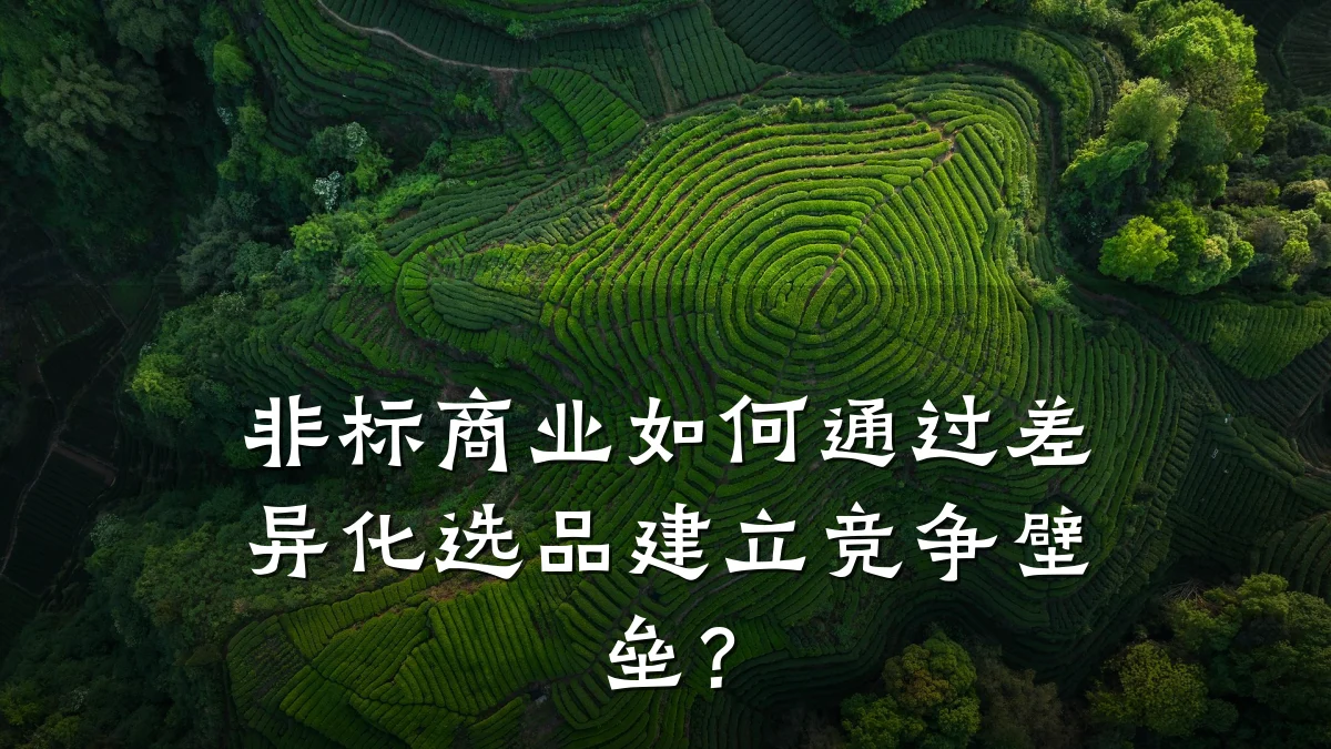 非标商业如何通过差异化选品建立竞争壁垒?