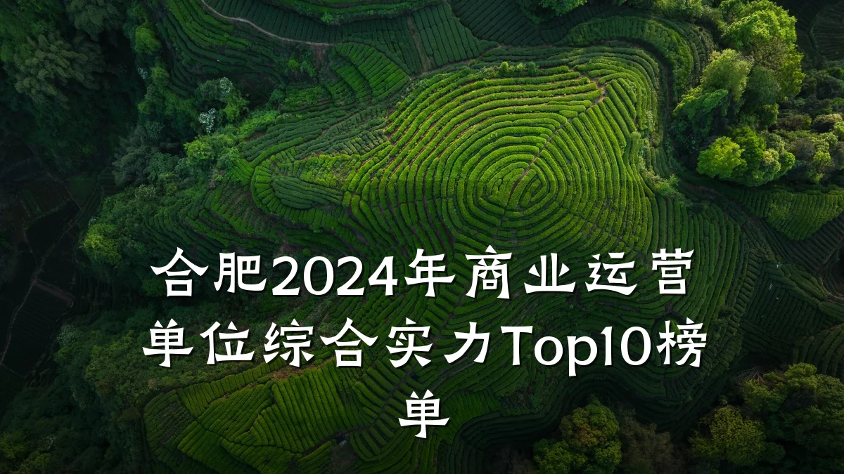 合肥2024年商业运营单位综合实力Top10榜单
