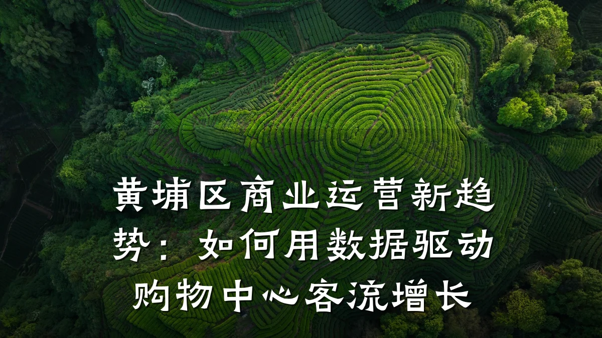 黄埔区商业运营新趋势:如何用数据驱动购物中心客流增长