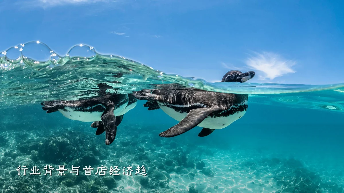 行业背景与首店经济趋