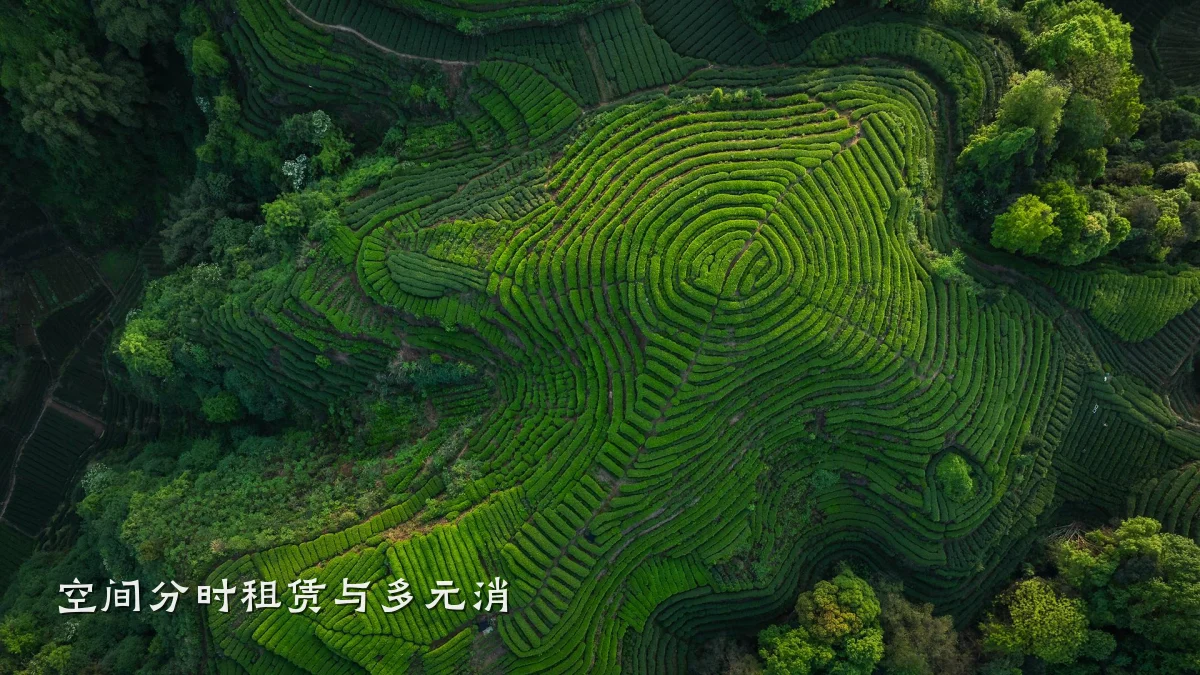 空间分时租赁与多元消