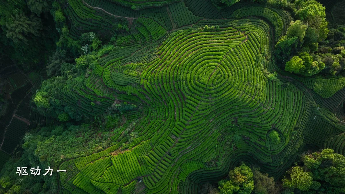 驱动力一