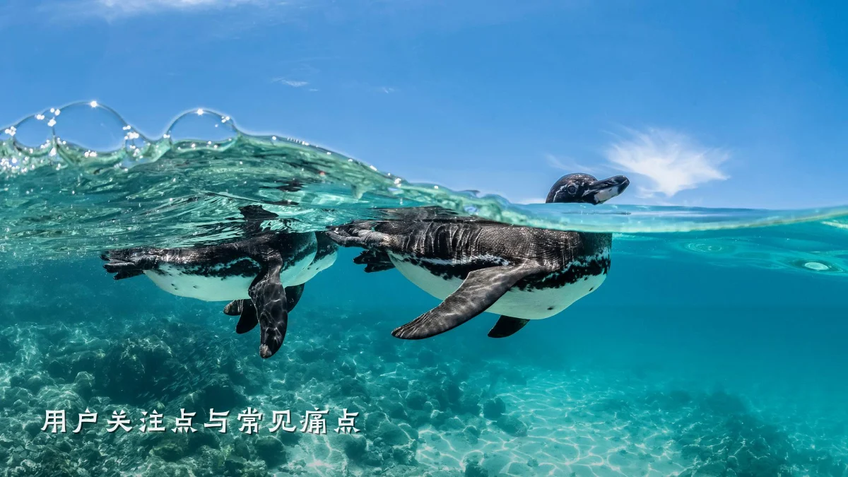 用户关注点与常见痛点