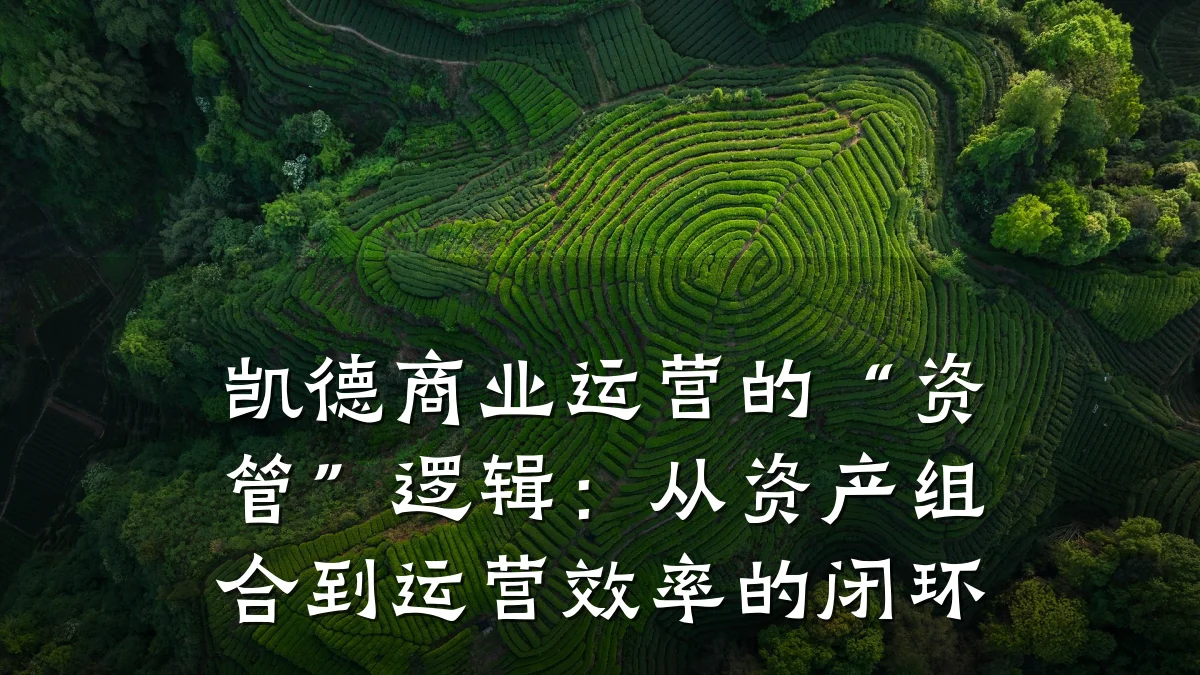 凯德商业运营的“资管”逻辑:从资产组合到运营效率的闭环