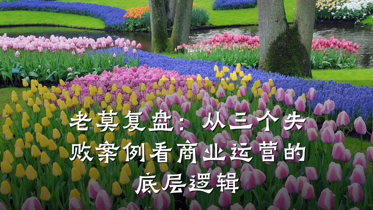 老莫复盘:从三个失败案例看商业运营的底层逻辑