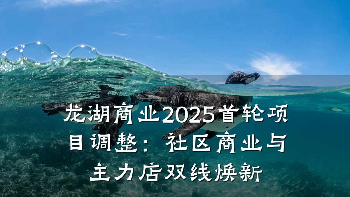 龙湖商业2025首轮项目调整:社区商业与主力店双线焕新