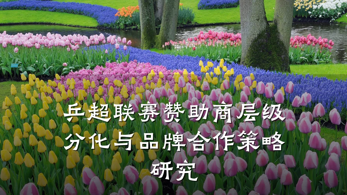 乒超联赛赞助商层级分化与品牌合作策略研究
