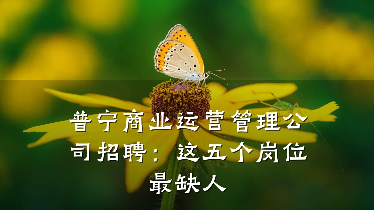 普宁商业运营管理公司招聘:这五个岗位最缺人