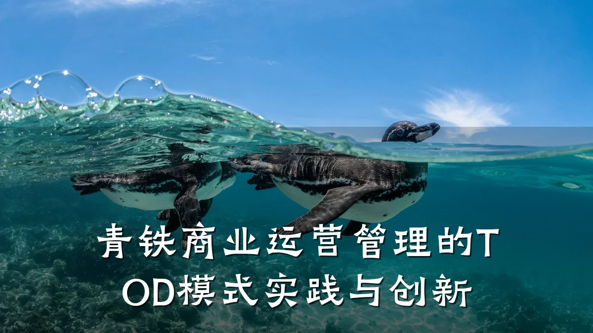青铁商业运营管理的TOD模式实践与创新