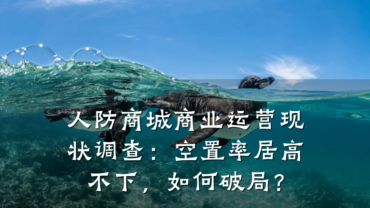 人防商城商业运营现状调查:空置率居高不下,如何破局?