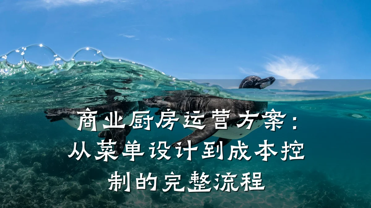 商业厨房运营方案:从菜单设计到成本控制的完整流程