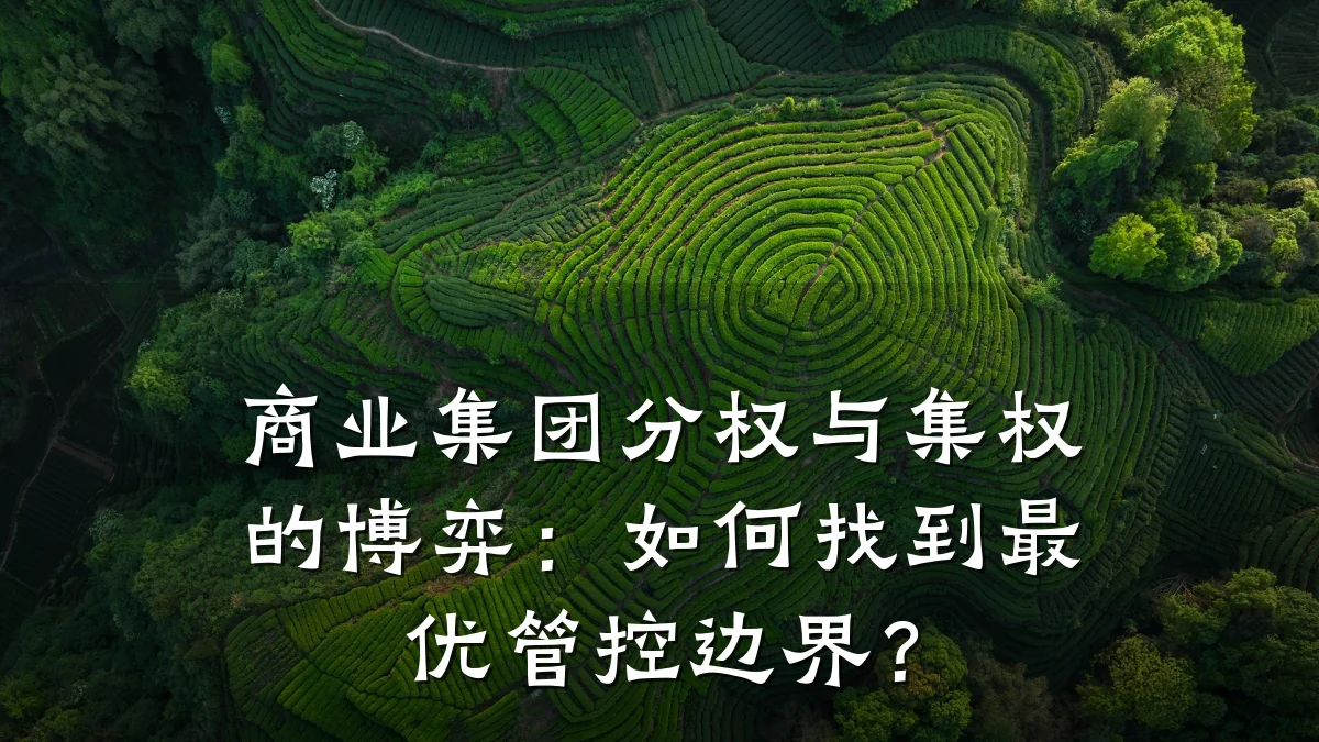 商业集团分权与集权的博弈:如何找到最优管控边界?