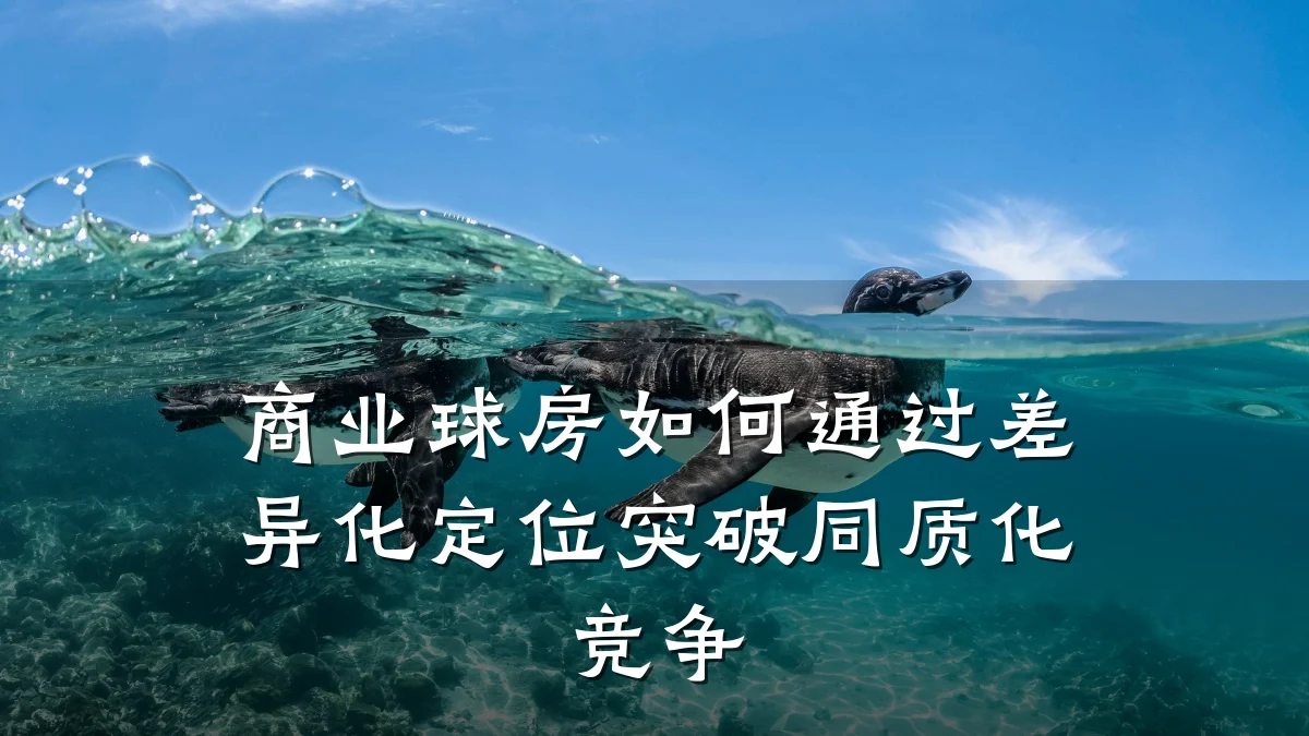 商业球房如何通过差异化定位突破同质化竞争