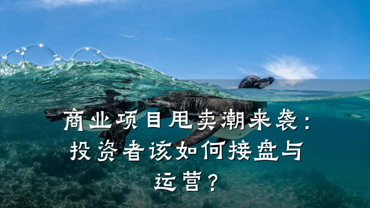 商业项目甩卖潮来袭:投资者该如何接盘与运营?