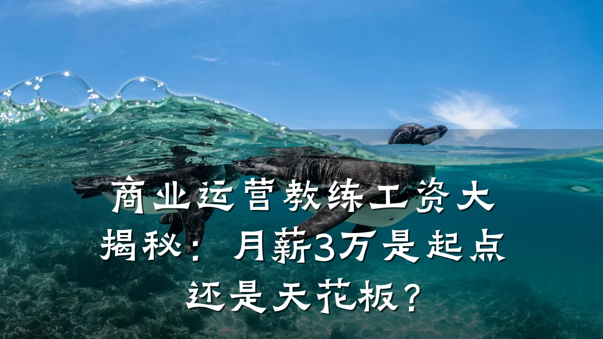 商业运营教练工资大揭秘:月薪3万是起点还是天花板?
