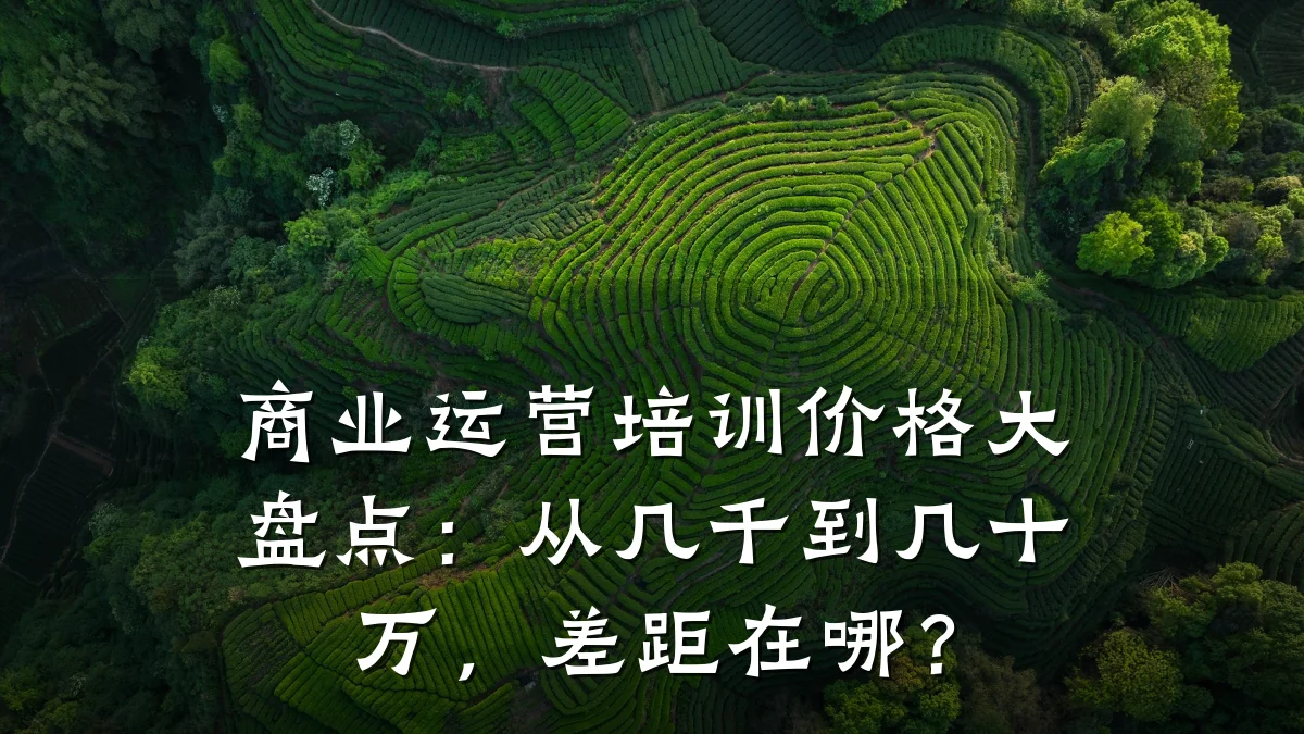 商业运营培训价格大盘点:从几千到几十万,差距在哪?