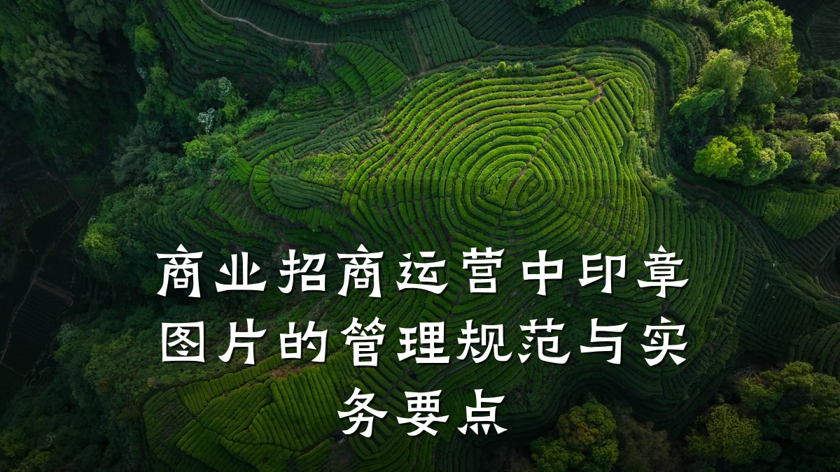 商业招商运营中印章图片的管理规范与实务要点
