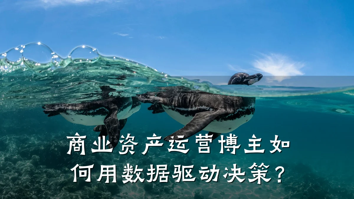 商业资产运营博主如何用数据驱动决策?