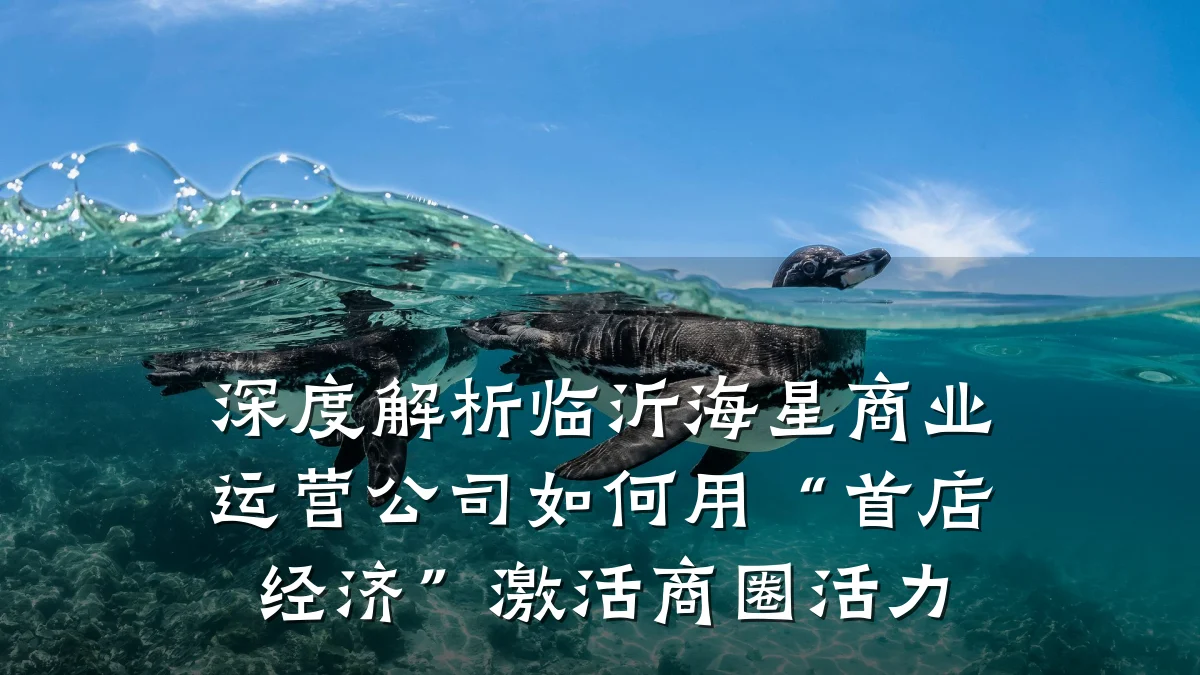 深度解析临沂海星商业运营公司如何用“首店经济”激活商圈活力