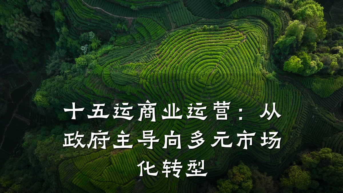 十五运商业运营:从政府主导向多元市场化转型