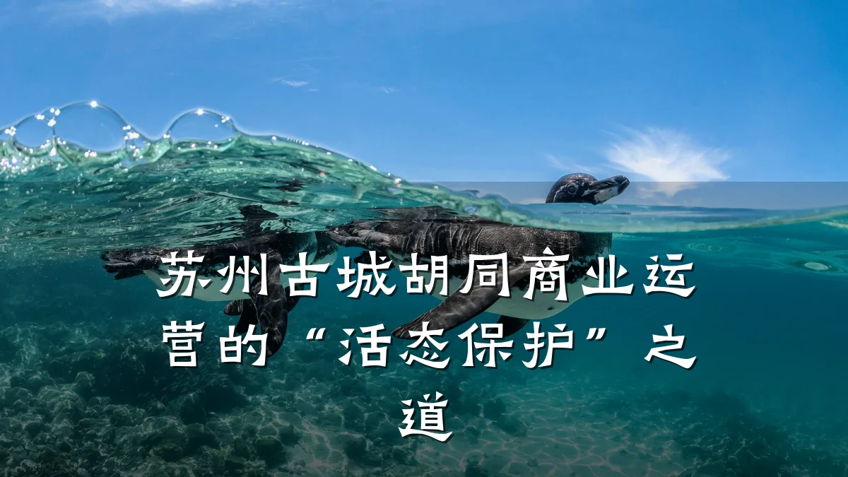 苏州古城胡同商业运营的“活态保护”之道