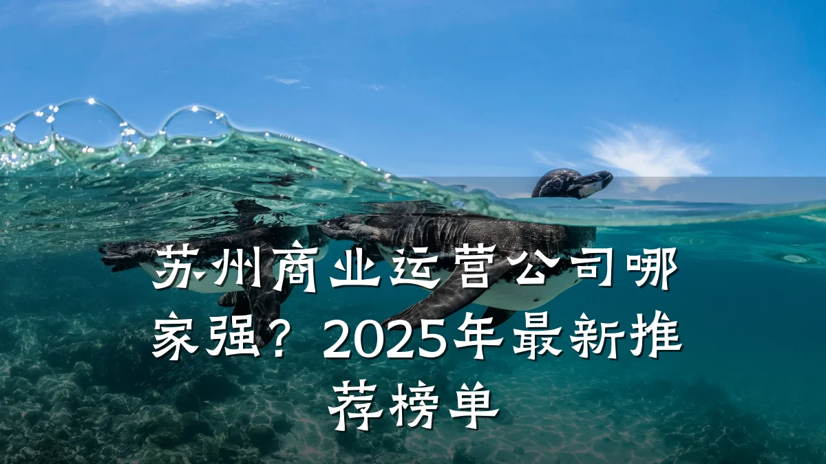 苏州商业运营公司哪家强?2025年最新推荐榜单