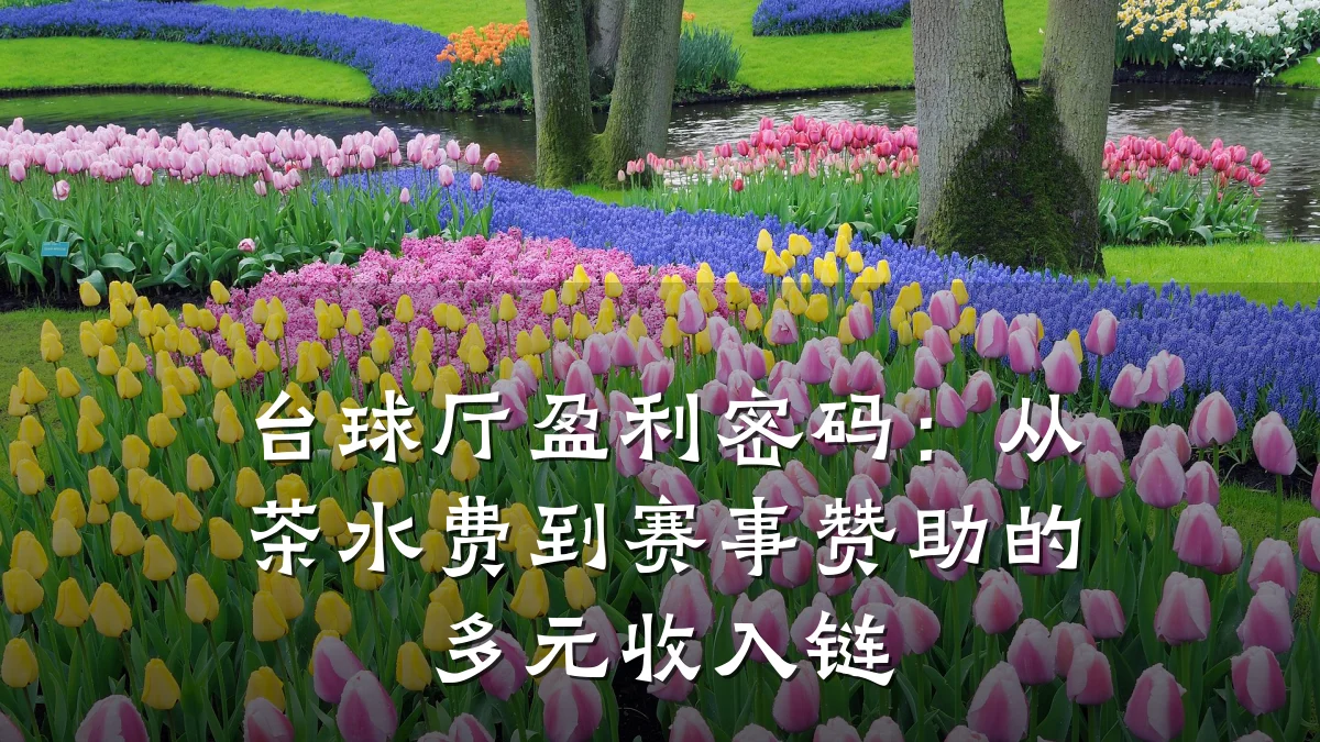 台球厅盈利密码:从茶水费到赛事赞助的多元收入链