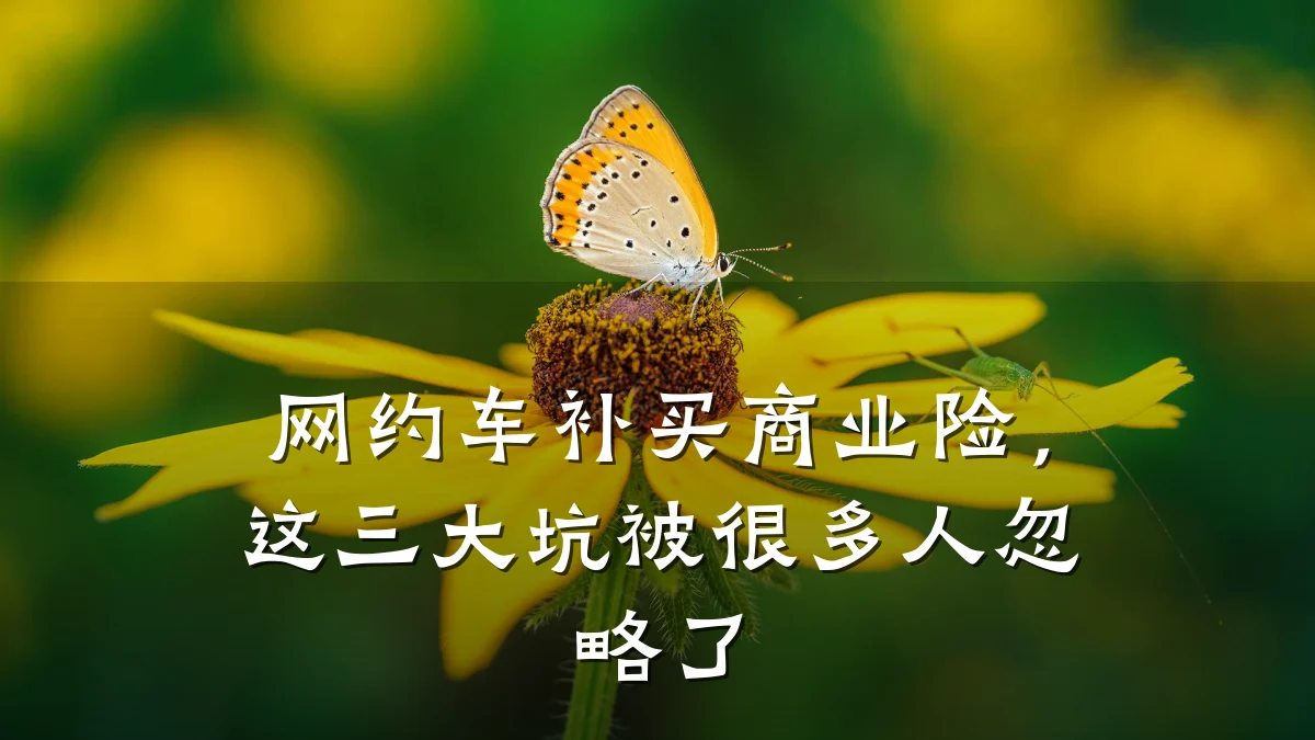 网约车补买商业险,这三大坑被很多人忽略了