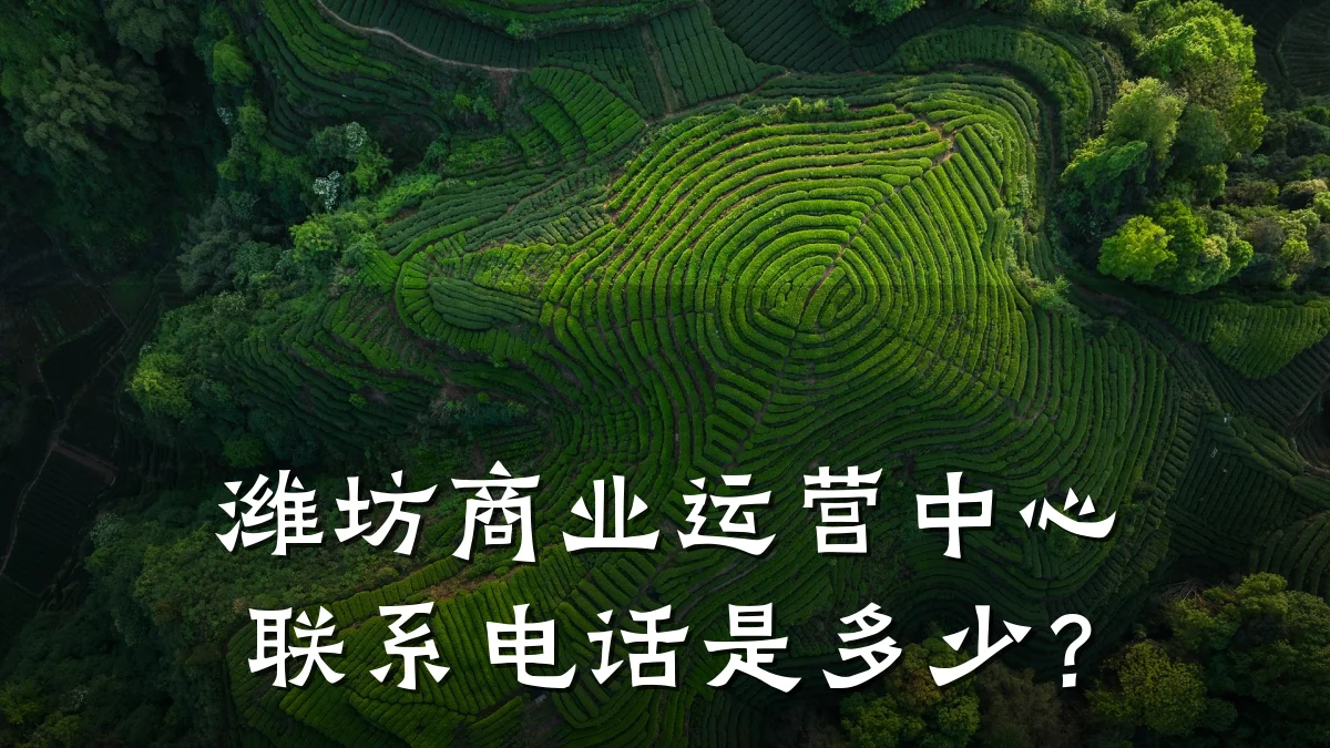 潍坊商业运营中心联系电话是多少?