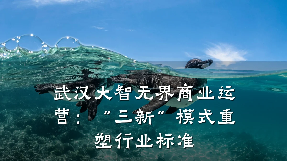 武汉大智无界商业运营:“三新”模式重塑行业标准