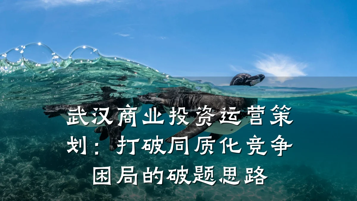 武汉商业投资运营策划:打破同质化竞争困局的破题思路